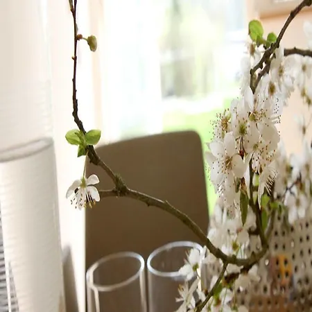 Boutique Katharina Hotel